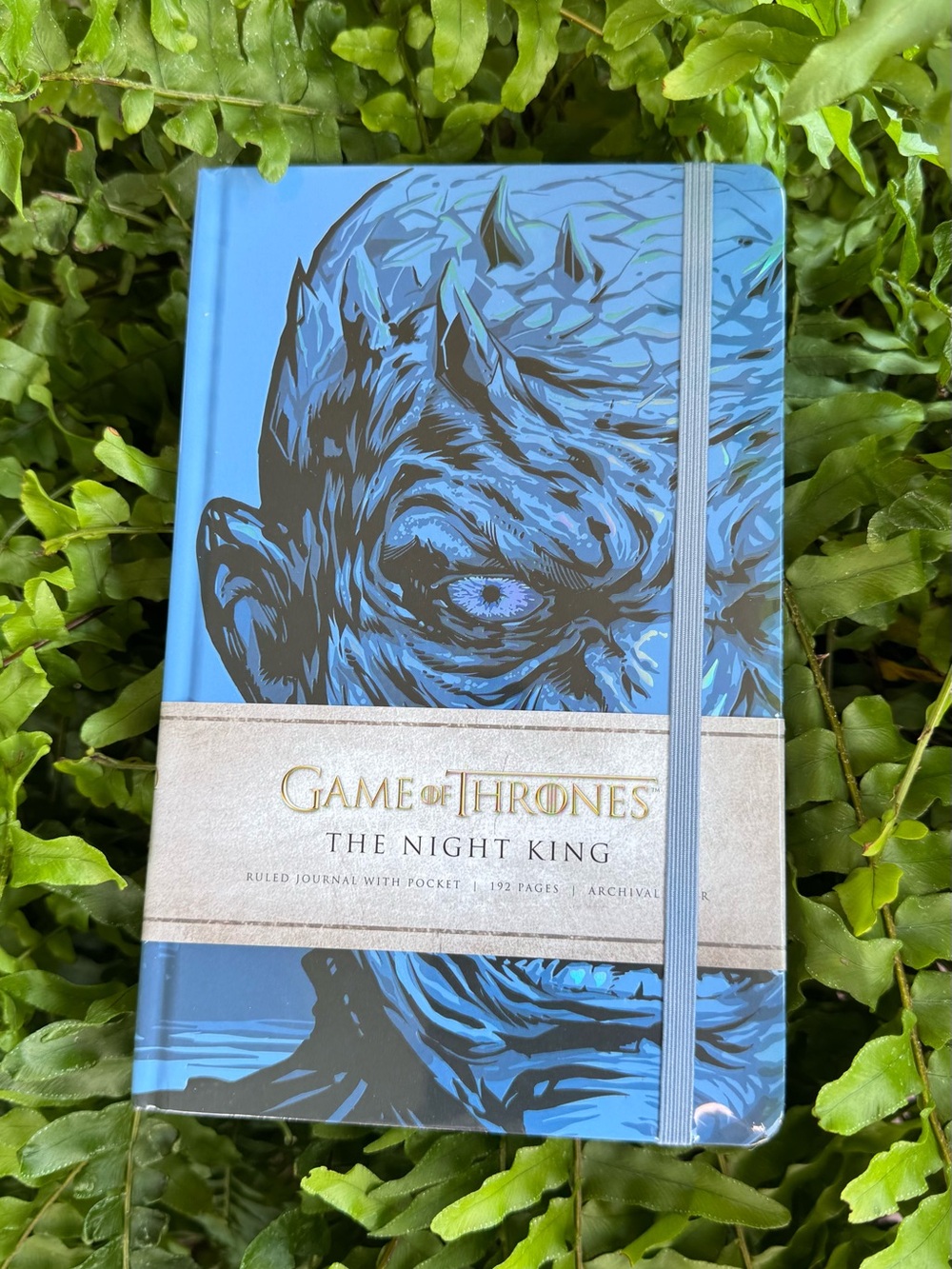 Game of Thrones The Night King Writing Journal